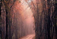 曼联官方：卢克-肖、马奎尔、约罗、巴因迪尔和希顿恢复合练.