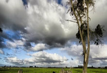 [国足]U17亚洲杯预选赛：巴林0-2中国 集锦.