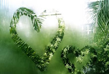 恩里克：不认为法甲缺少吸引力，法甲球队完全有能力赢得欧冠.