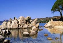 拜仁官方：诺伊尔已经回到训练场进行跑步训练.